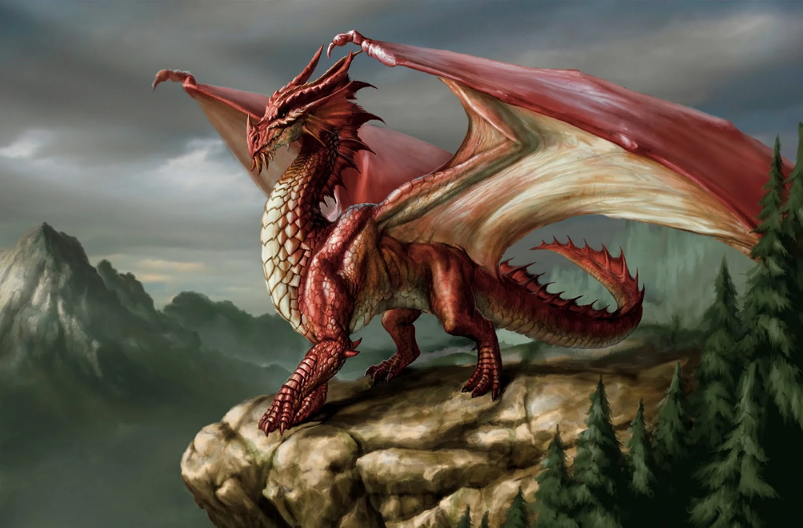 dragon.webp